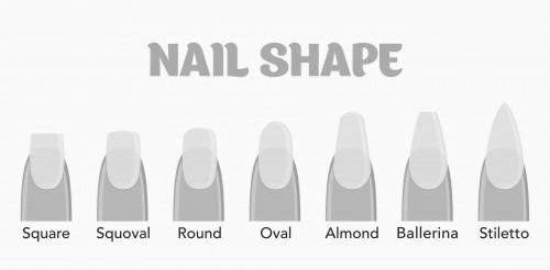 What is the difference between acrylic and gel nails? image 5