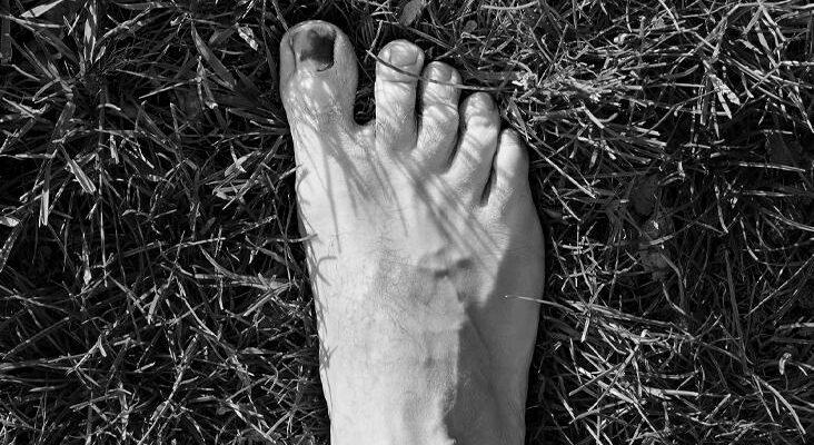 How long does it take for a big toe nail take to grow completely? image 0