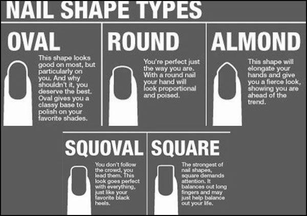 Why are nails shaped the way they are? image 0