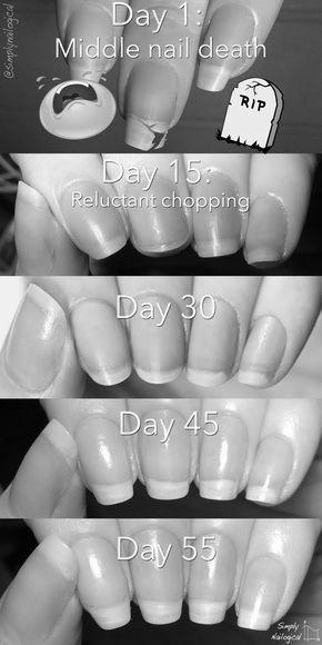 How long does it take nails to grow? photo 8