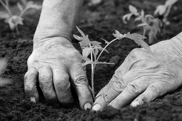 How does dirt accumulate under our fingernails so quickly? photo 4