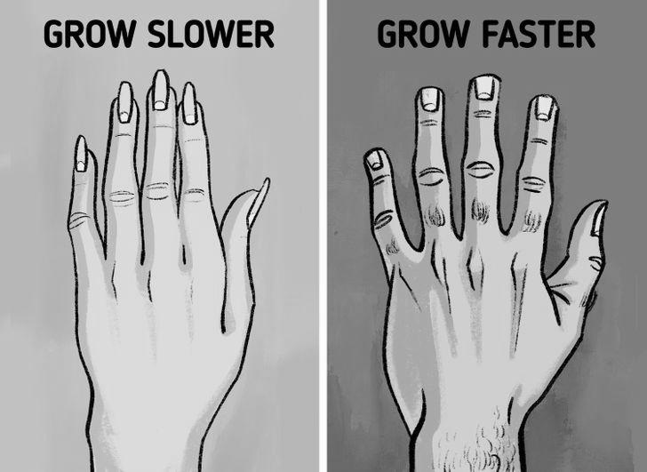 How do nails grow? photo 3