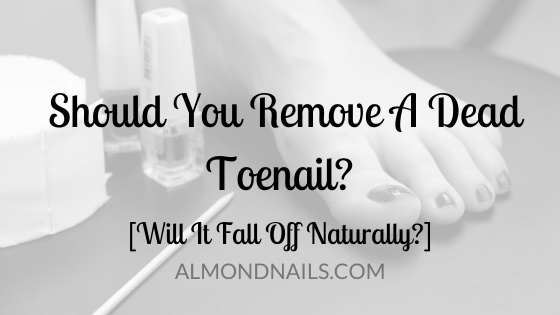 If I completely remove a toenail, will a new one grow? photo 11